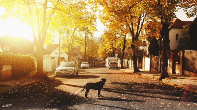 923f4bab2a35b025c2ccca918f8f98da50bcd0dd trakz 7 ways blog header